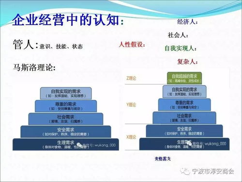 企业管理经验分享